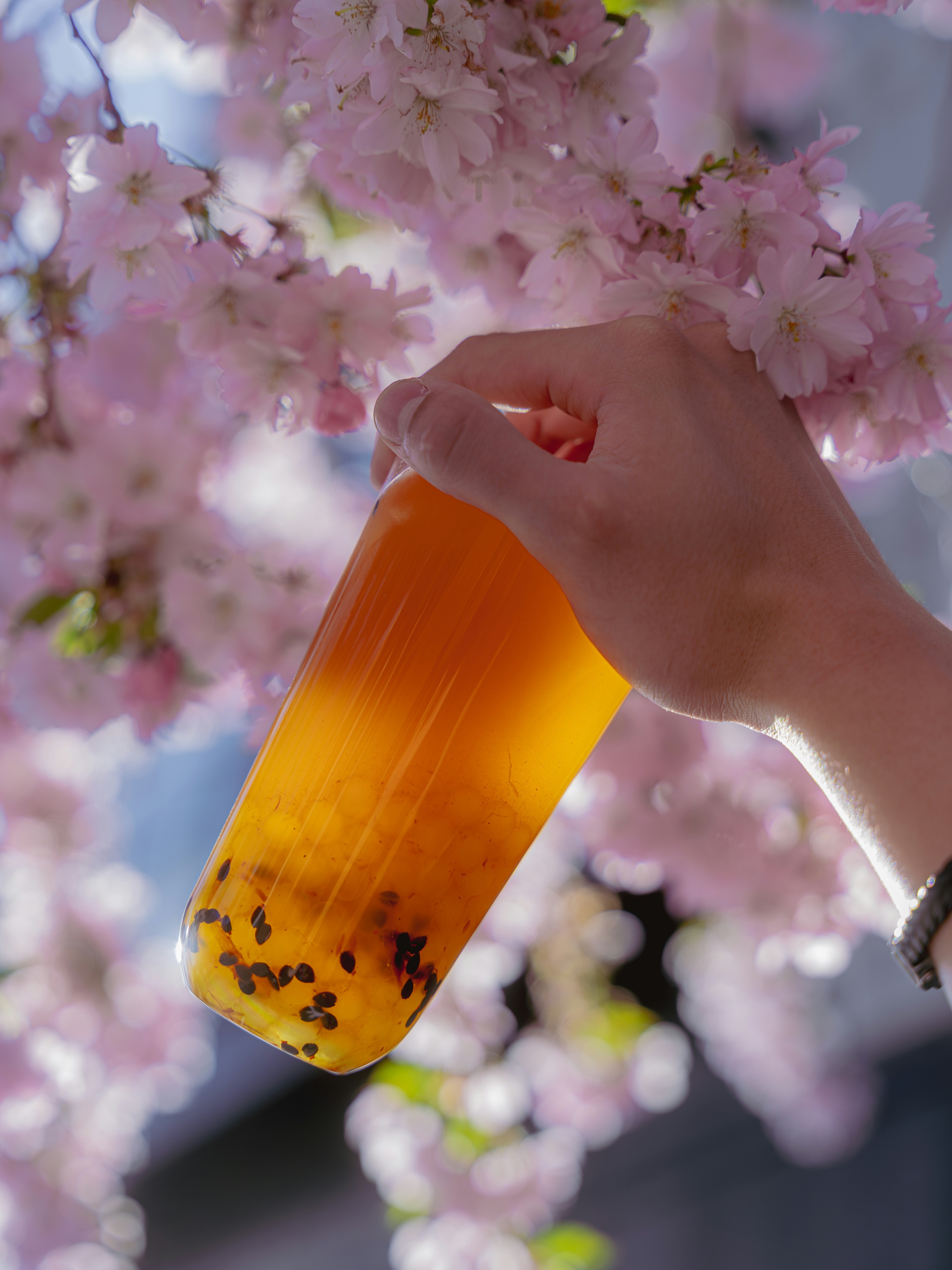 boba picture